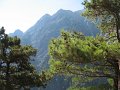 IMG_2146 - Copy